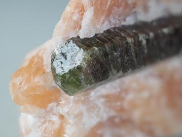 Fluorapatite XL